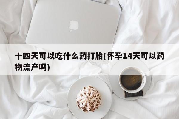 药流药在线付款十四天可以吃什么药打胎(怀孕14天可以药物流产吗)